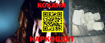гашик Камышлов