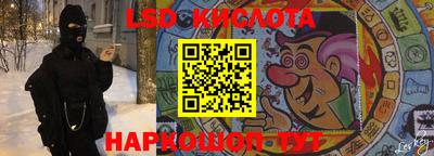 гашик Камышлов