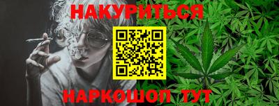 гашик Камышлов