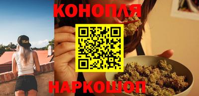 гашик Камышлов