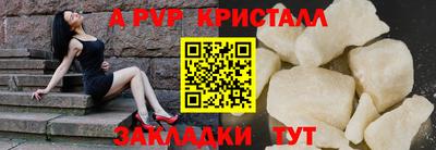 гашик Камышлов